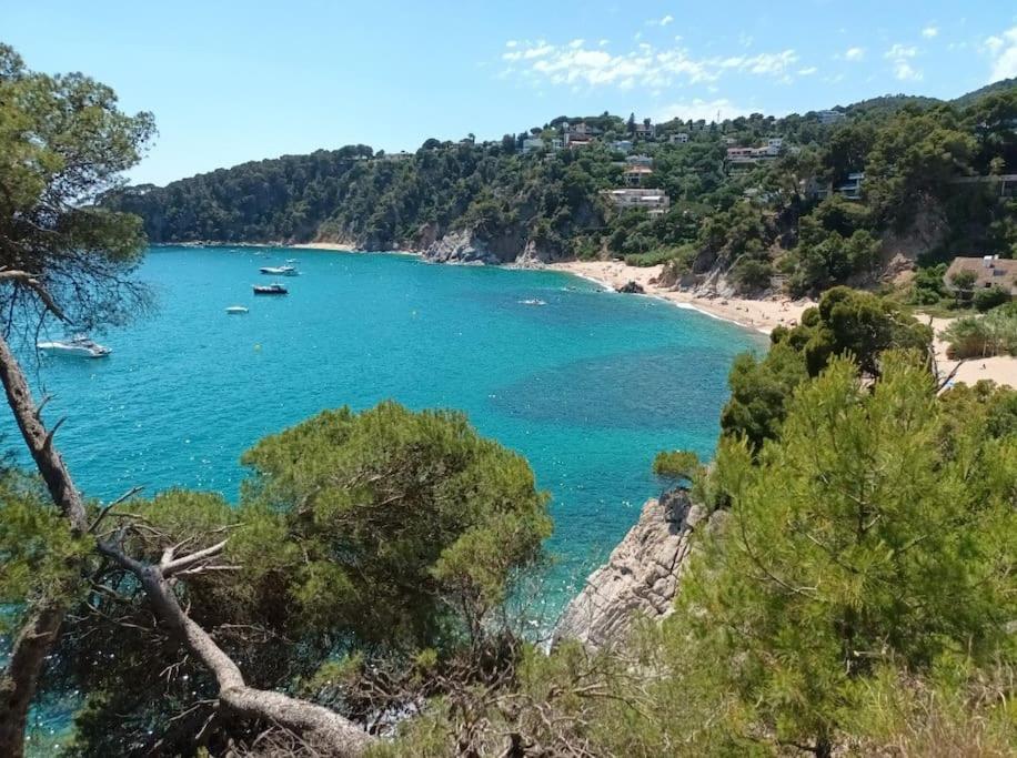 Apartament La Calma De Tossa Girona Zewnętrze zdjęcie