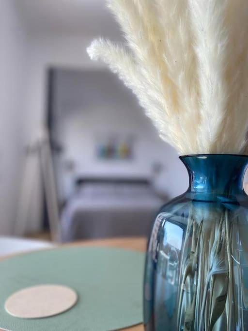 Apartament La Calma De Tossa Girona Zewnętrze zdjęcie