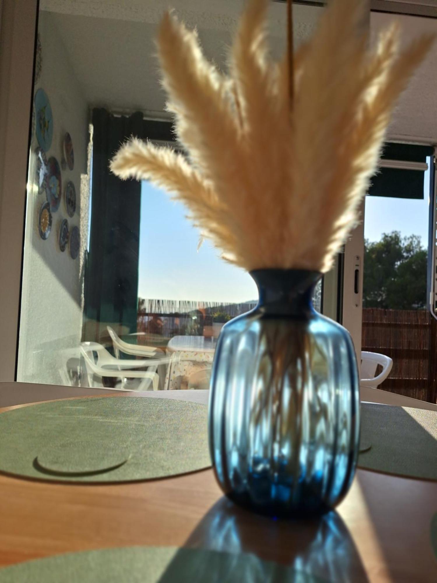 Apartament La Calma De Tossa Girona Zewnętrze zdjęcie